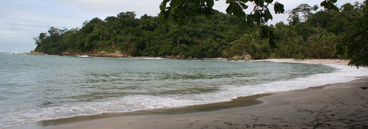 Costa Rica - Pacifique Centre 5